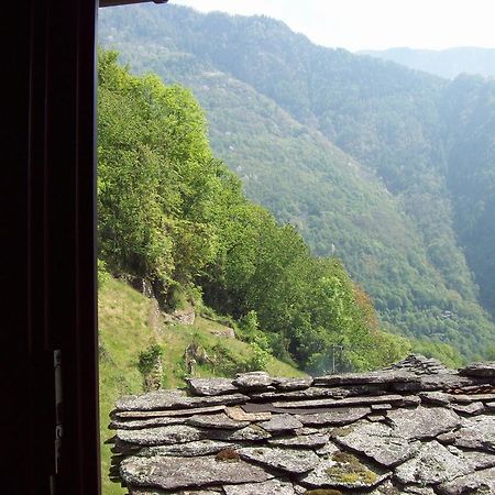 Appartamentino Nel Bosco Sondrio Zewnętrze zdjęcie