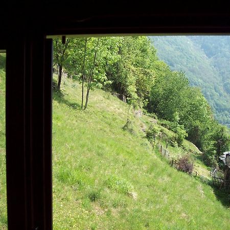Appartamentino Nel Bosco Sondrio Zewnętrze zdjęcie