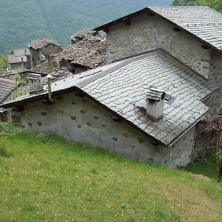 Appartamentino Nel Bosco Sondrio Zewnętrze zdjęcie