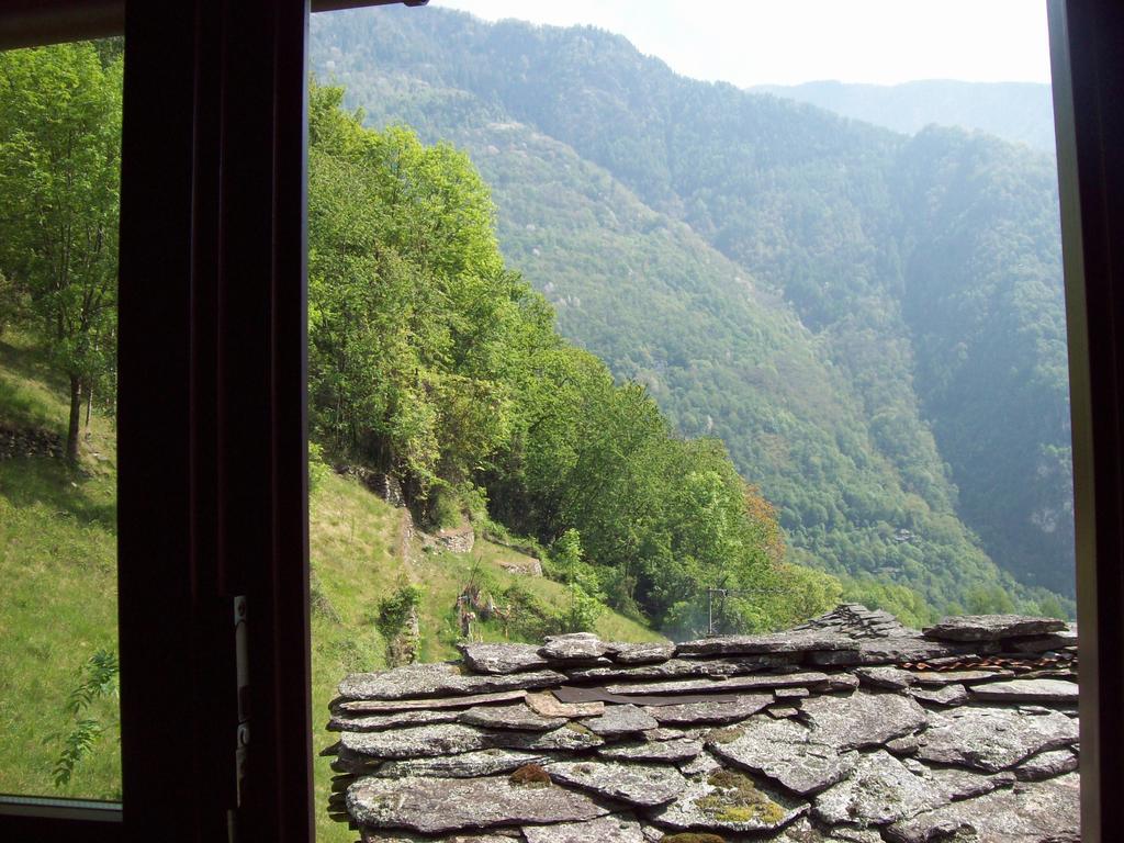 Appartamentino Nel Bosco Sondrio Zewnętrze zdjęcie
