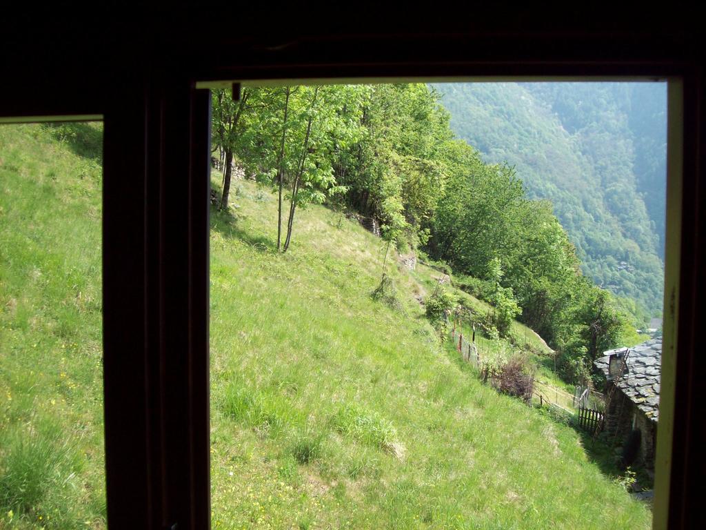 Appartamentino Nel Bosco Sondrio Zewnętrze zdjęcie