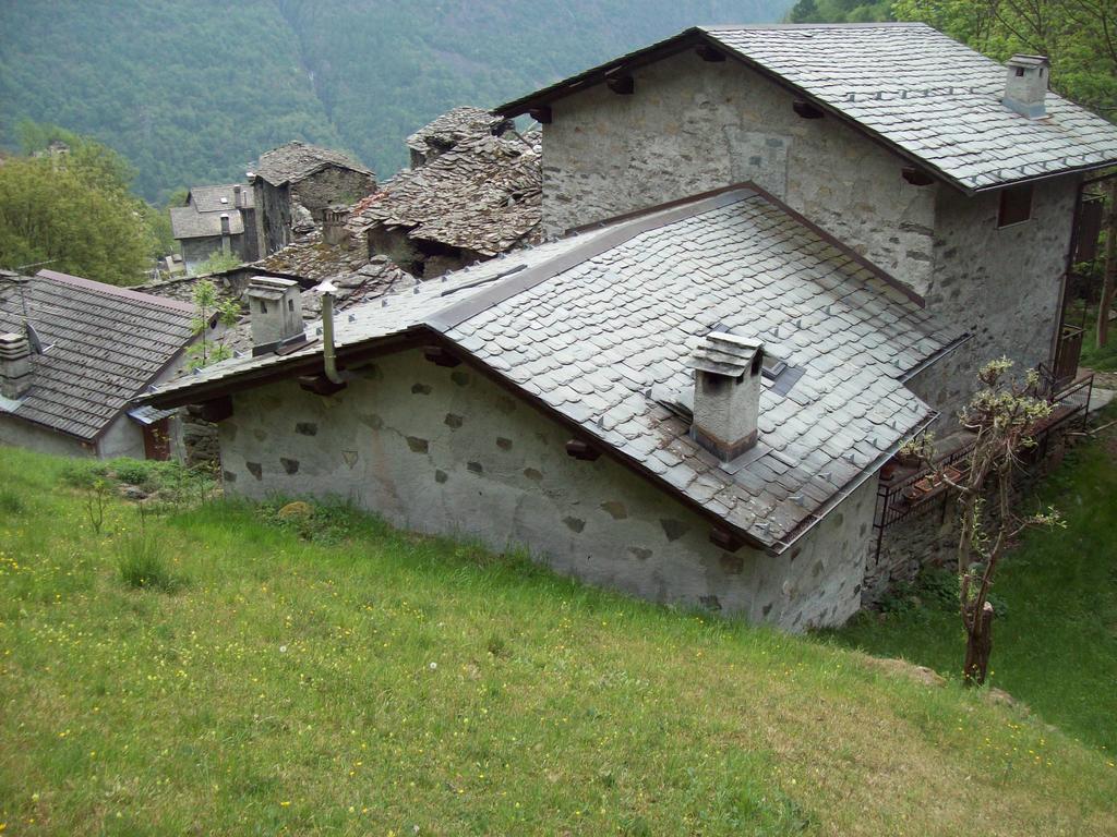 Appartamentino Nel Bosco Sondrio Zewnętrze zdjęcie